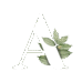 Digital marketing expert in kollam_LOgo